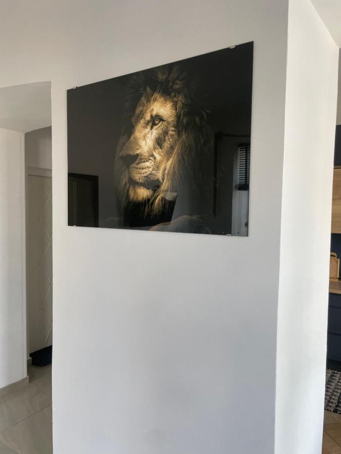 Ferienwohnung Apartament W Centrum Przy Studni 102M2 Chełm Exterior foto